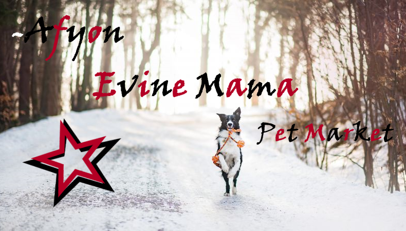 Afyon Evine Mama Pet Market