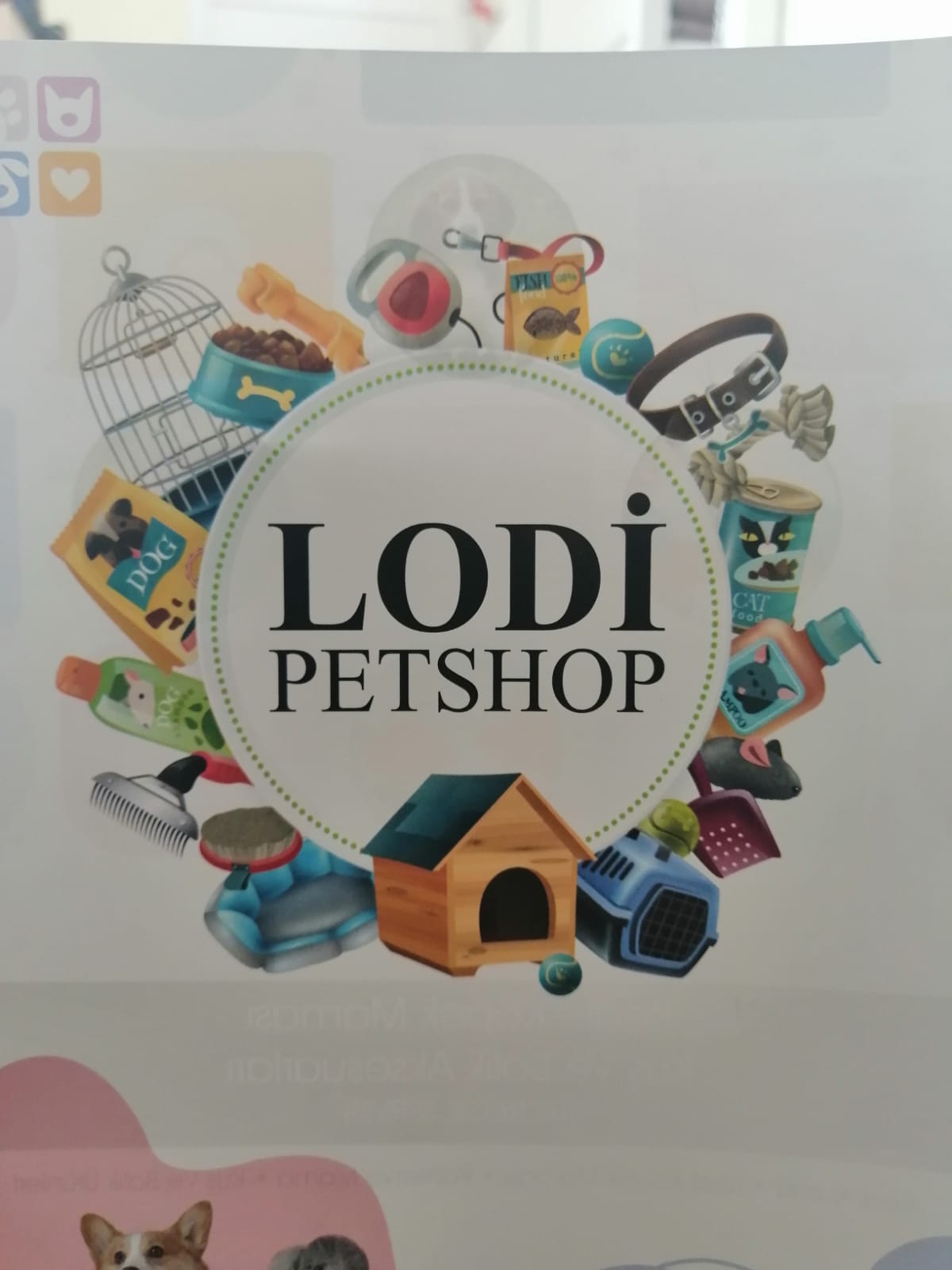 Lodi Petshop Fethiye