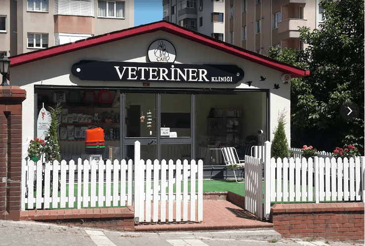 Çatı Veteriner Kadıköy